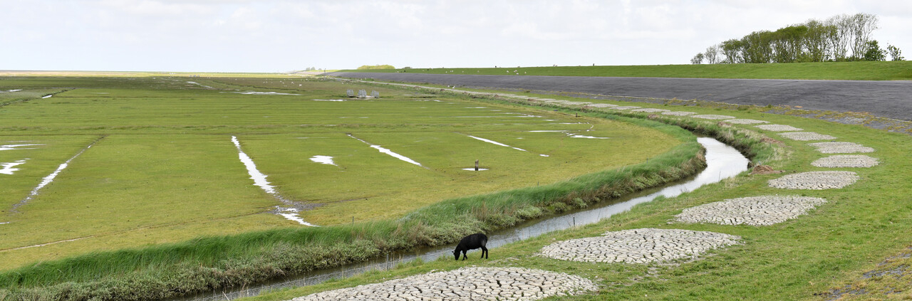 Landschap provincie Groningen