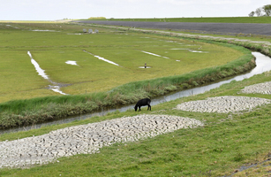 Landschap provincie Groningen