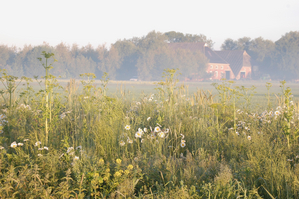 Akkerrand met boerderij