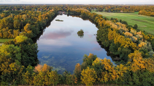 Visvijver Sassenhein