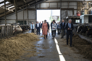 Het Koningspaar in Stedum