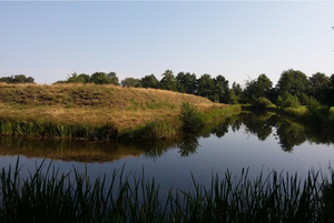 Schans bij de Lethe-Westerwolde