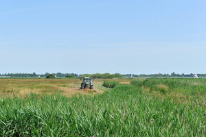 Landschapsbeheer oevers Zuidlaardermeer