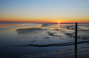 Waddengebied