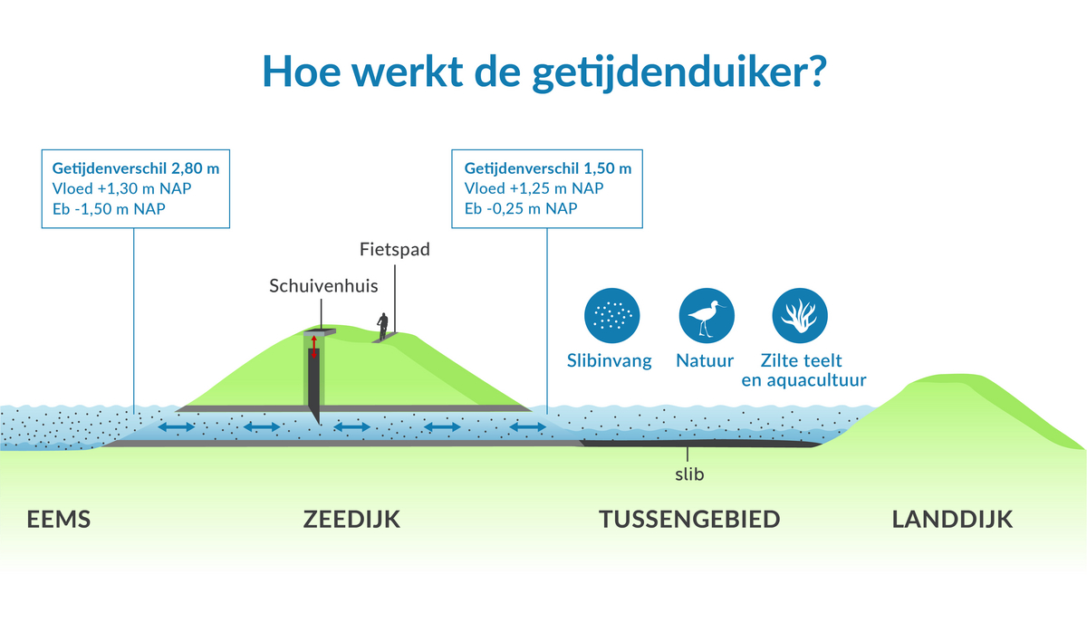 tekening Dubbele dijk met getijdenduiker