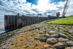 Korstmossen op de dijk