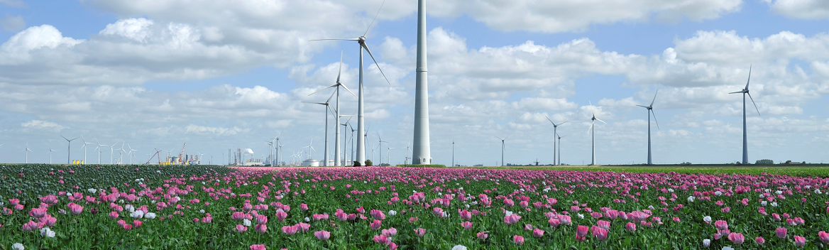 windturbines in de Eemshaven